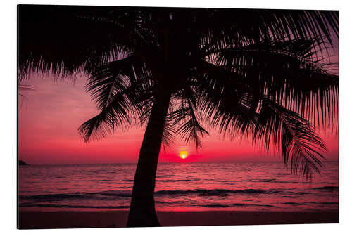 Aluminium print Palm tree on tropical beach