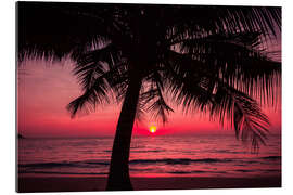 Cuadro de plexi-alu Palm tree on tropical beach