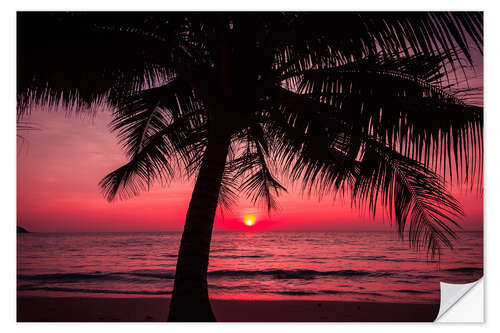 Vinilo para la pared Palm tree on tropical beach