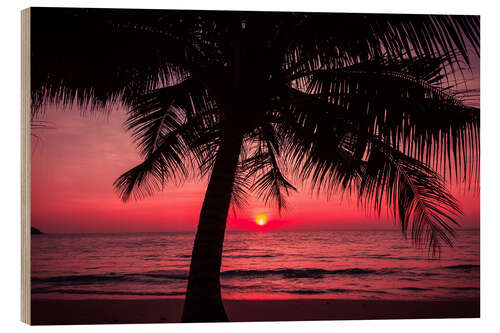 Wood print Palm tree on tropical beach