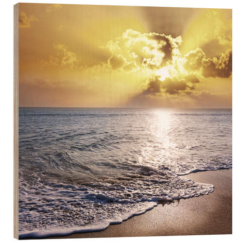 Puutaulu Sea sunset