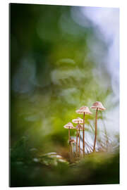 Gallery print Close-knit family