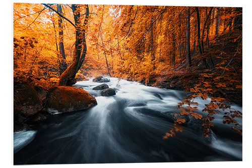 PVC print Autumn woods and creek