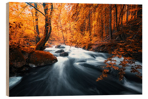 Wood print Autumn woods and creek