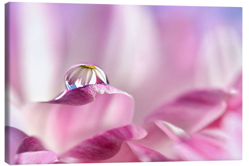 Canvas print A drop on pink blossoms