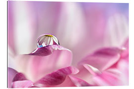 Gallery print A drop on pink blossoms