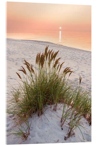 Acrylic print Ocean solitude