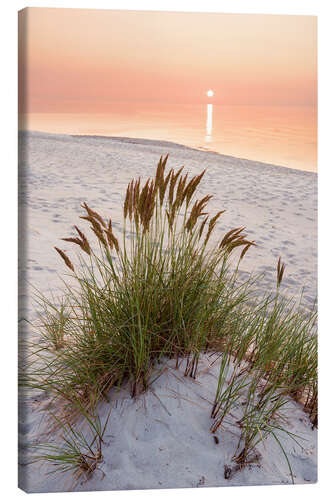 Canvas print Ocean solitude