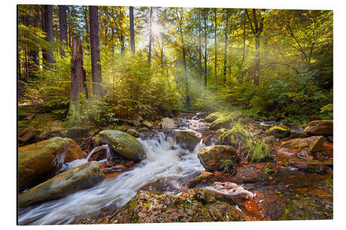 Alubild Ilse im Harz