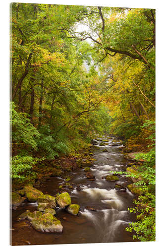 Akrylbilde Bode Harz Autumn