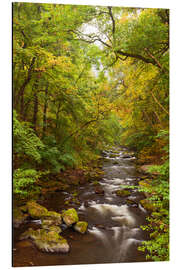 Alubild Bodetal Harz Herbst