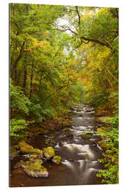 Gallery print Bode Harz Autumn