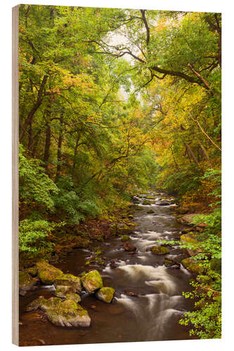 Holzbild Bodetal Harz Herbst