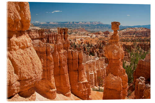 Acrylic print bryce canyon