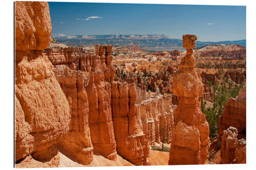 Tableau en plexi-alu bryce canyon