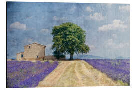 Aluminium print Provence picturesque