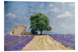 Foam board print Provence picturesque