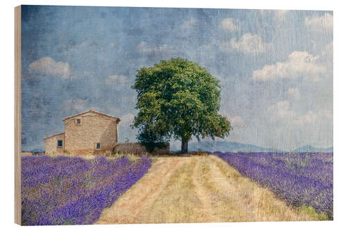 Wood print Provence picturesque