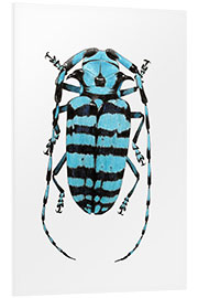 Foam board print Beetle