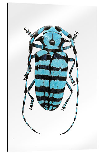 Galleritryck Beetle