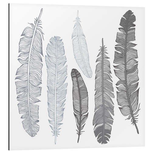 Aluminium print Feathers on white