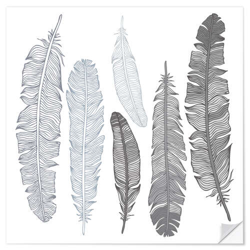 Sticker mural Plume sur fond blanc