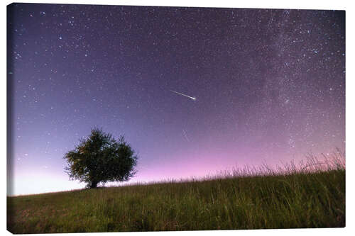 Canvas print night sky