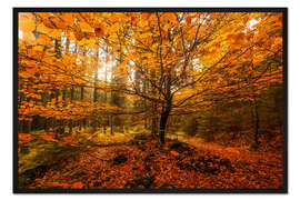 Gerahmter Kunstdruck Blattgold - Herbst Wald
