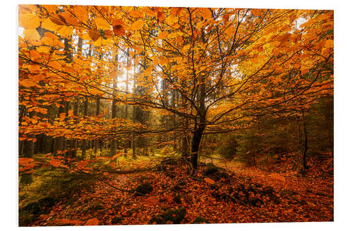 Hartschaumbild Blattgold - Herbst Wald