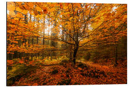 Magnettafel Blattgold - Herbst Wald