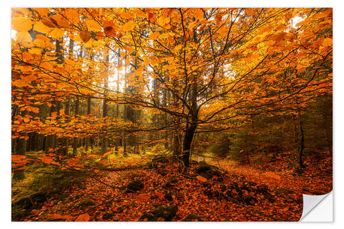 Wandsticker Blattgold - Herbst Wald