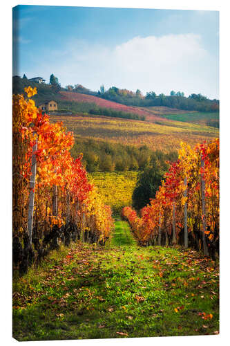 Lienzo Langhe in Autumn, Italy