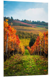 Foam board print Langhe in Autumn, Italy