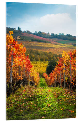 Tableau en plexi-alu Les Langhe en automne, Italie