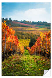 Wandsticker Langhe im Herbst, Italien