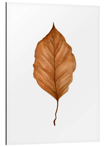 Aluminium print Beech Leaf