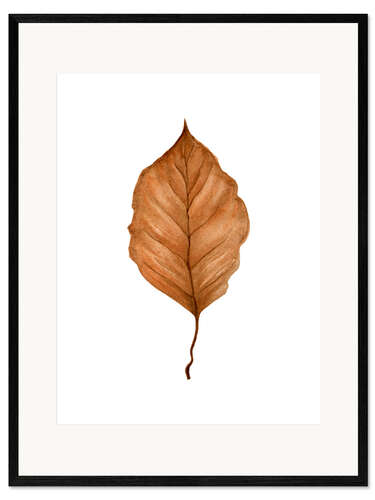 Framed art print Beech Leaf