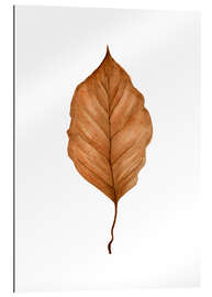 Gallery print Beech Leaf