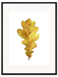 Gerahmter Kunstdruck Eichenblatt