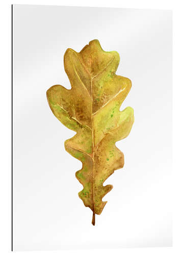 Quadro em plexi-alumínio Oak Leaf