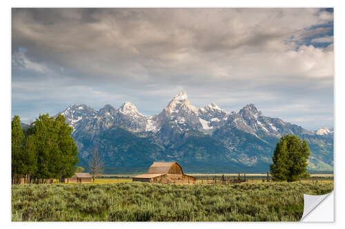 Vinilo para la pared Grand Teton