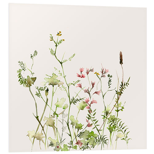 Foam board print Wild flower meadow