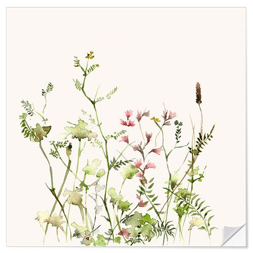 Wall sticker Wild flower meadow