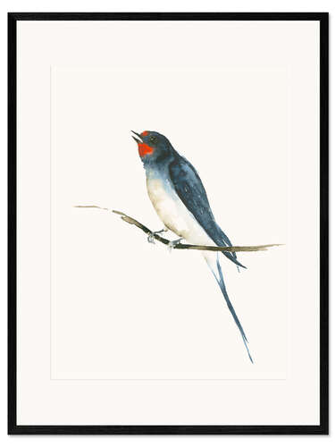 Framed art print Swallow