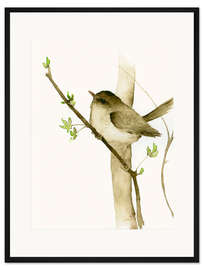 Gerahmter Kunstdruck Kleiner Singvogel