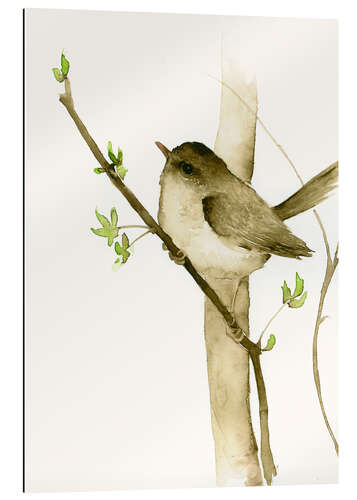 Gallery print Little songbird