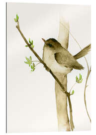 Gallery print Little songbird