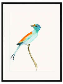 Gerahmter Kunstdruck Paradiesvogel