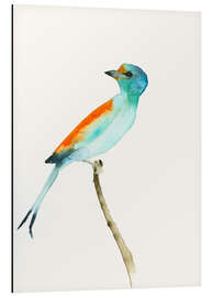 Magnettafel Paradiesvogel