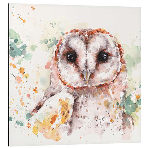 Aluminium print Barn Owl